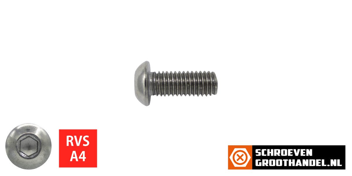 Alternatieve afbeelding voor Linsensschrauben inbus M5 x 10mm Edelstahl A4 ISO7380-1 50 Stück