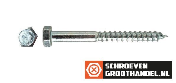 Alternatieve afbeelding voor Schlüsselschrauben M10 verzinkt 10x50mm Din571 100 Stück
