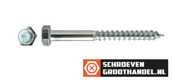 Alternatieve afbeelding voor Schlüsselschrauben M5 verzinkt 5x50mm Din571 200 Stück