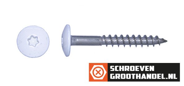 Alternatieve afbeelding voor Schrauben für Trespa® / HPL-Platten 4,8x38mm RAL9016 Verkehrsweiß Edelstahl A2 TORX 100 Stück