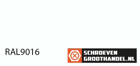 Alternatieve afbeelding voor Schrauben für Trespa® / HPL-Platten 4,8x38mm RAL9016 Verkehrsweiß Edelstahl A2 TORX 100 Stück