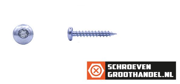 Alternatieve afbeelding voor Spanplattenschrauben 5x25mm verzinkt Linsenkopf TORX-25 200 Stück