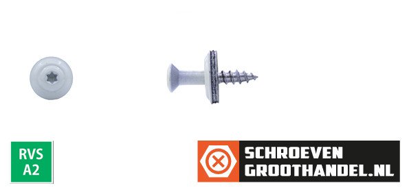 Alternatieve afbeelding voor Spenglerschrauben 4,5x25mm Edelstahl A2 RAL9010 Reinweiß Liseko TORX-20 200 Stück
