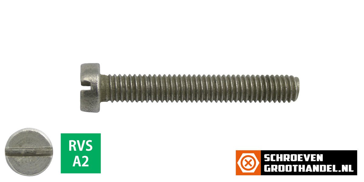 Alternatieve afbeelding voor Zylinderschrauben mit Schlitz M6 x 40mm DIN84 Edelstahl A2  200 Stück