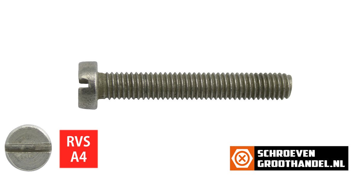 Alternatieve afbeelding voor Zylinderschrauben mit Schlitz M6 x 40mm DIN84 Edelstahl A4  200 Stück