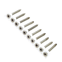 Bandschrauben für Holz 4x40mm Edelstahl A2 Senkkopf POZI 1000 Stück
