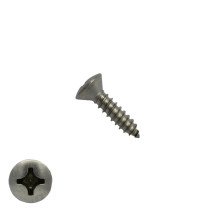Blechschrauben Edelstahl A2 4,8x13mm Linsensenkkopf philips DIN7983 200 Stück