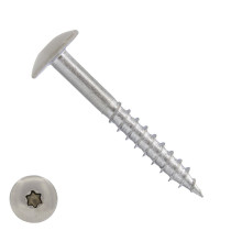 Schrauben für Trespa® / HPL-Platten 4,8x32mm Blanco Edelstahl A2 TORX 100 Stück