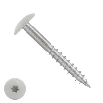 Schrauben für Trespa® / HPL-Platten 5,5x25mm RAL9010 Reinweiß Edelstahl A4 TORX 100 Stück