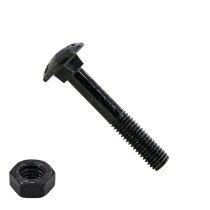 Schlossschrauben  M 8 x 40 Schwarz Din603 mit Muttern 25 Stück