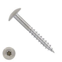 Schrauben für Trespa® / HPL-Platten 4,8x25mm Blanco Edelstahl A2 TORX 100 Stück