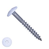 Schrauben für Trespa® / HPL-Platten 4,8x38mm RAL9016 Verkehrsweiß Edelstahl A2 TORX 100 Stück