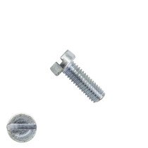Zylinderschrauben mit Schlitz M6 x 8mm DIN84 verzinkt  200 Stück